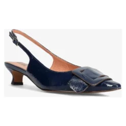 Altair Pumps