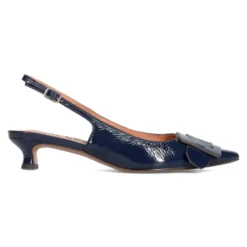 Altair Pumps