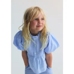 Ficus Bluse Ficus Striber