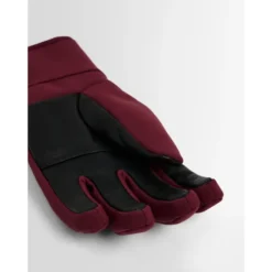 Glacier W Ski Gloves