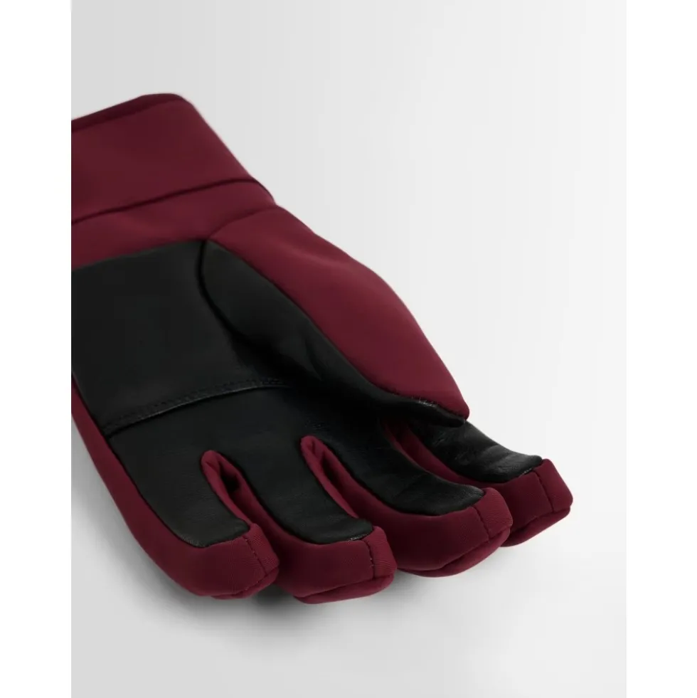 Glacier W Ski Gloves