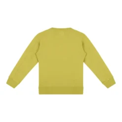 Grøn Crew Neck Sweatshirt til børn