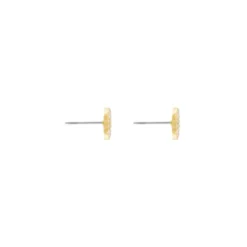 Joy Waterproof Clear CZ Circle Earrings 18K Gold Plating