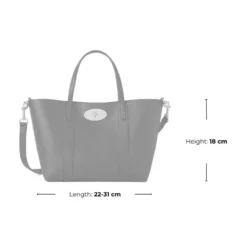 Mini Tote Bag