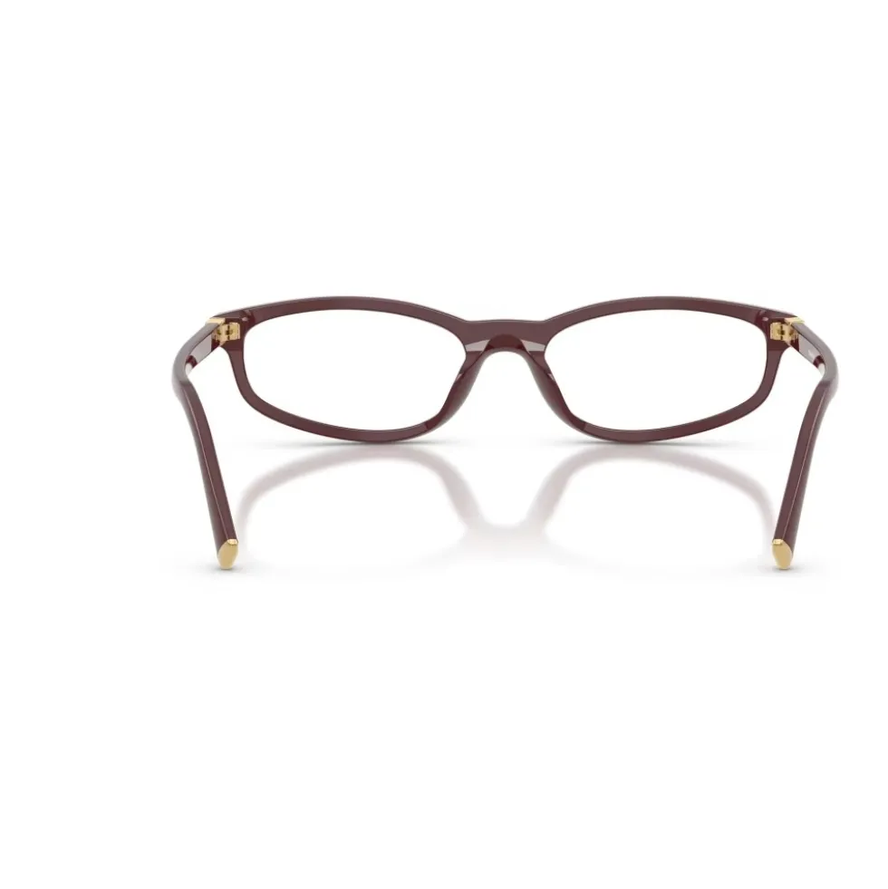 Optical Frame