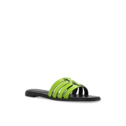 Slides Ines