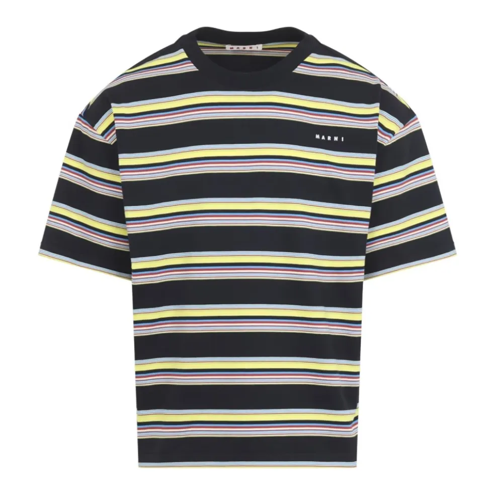 Stribet T-shirt i bomuld
