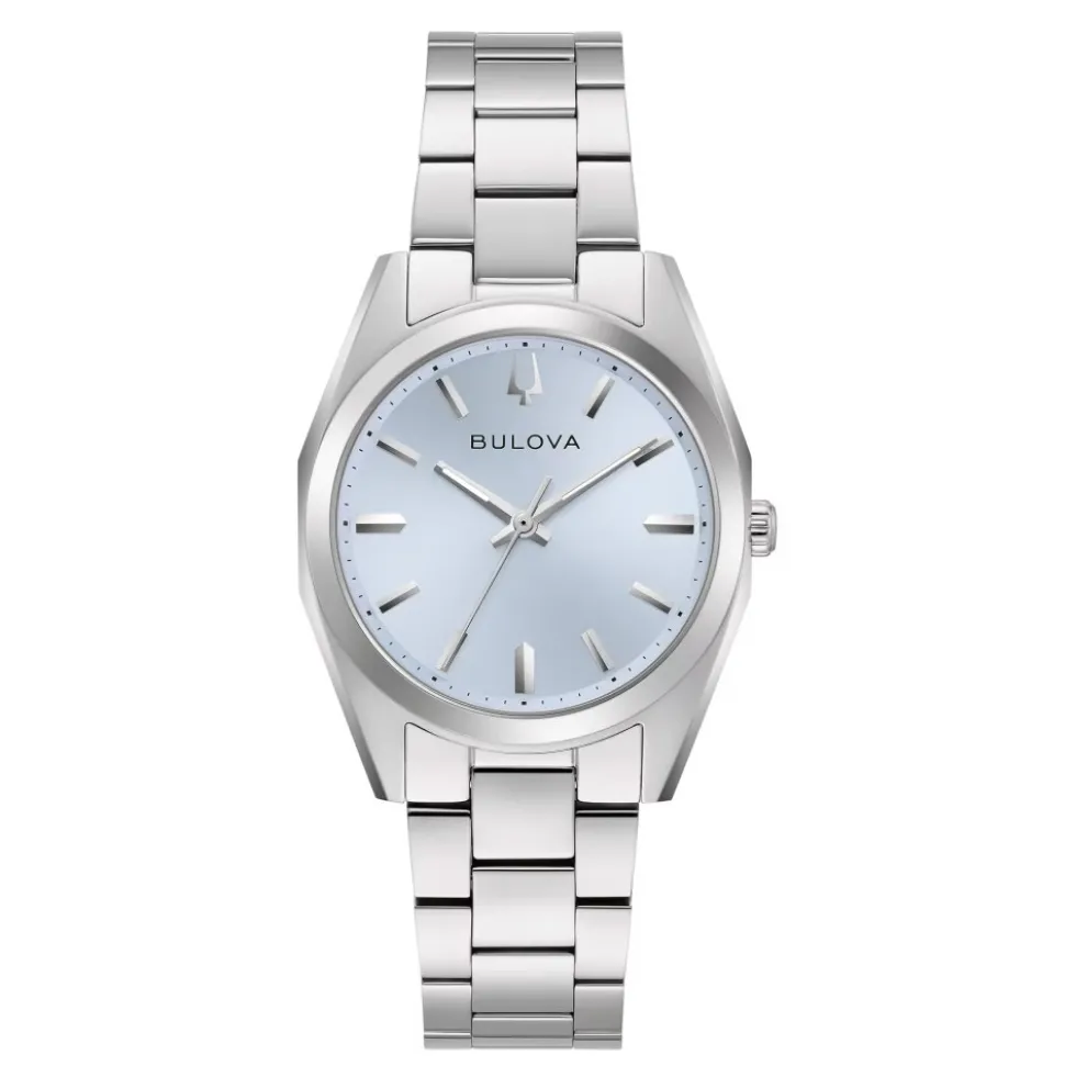 Surveyor Watch