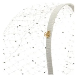 Veil