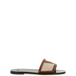VLogo Signature Slides